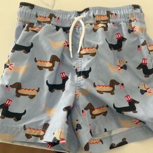 Janie and Jack 4 toddler boys swimsuit.